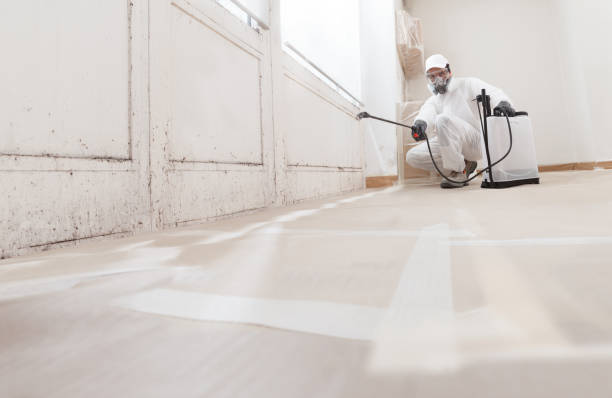 24/7 Emergency Mold Remediation experts in Perth Amboy, NJ